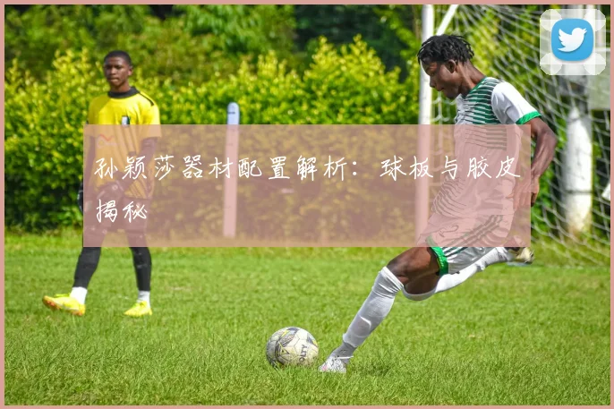 孙颖莎器材配置解析：球板与胶皮揭秘